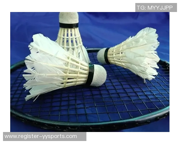 运动最新数据羽毛球新手必看攻略与全面入门指南助你快速提升技巧与水平